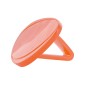 Clip cuvette Prodifresh mangue  - lot de 12