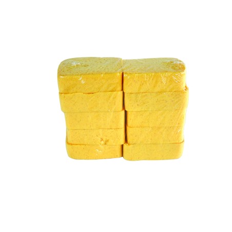 EPONGE BLONDE BORDEE n° 4 (123x91x30) - LOT 10